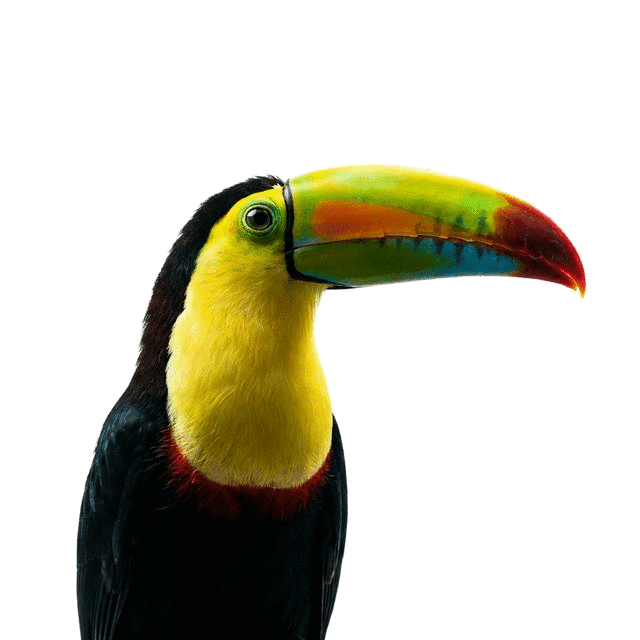 Estratégias de marketing digital que funcionam no Rio de Janeiro